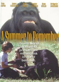Постер фильма: A Summer to Remember