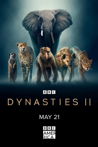 Постер фильма: Dynasties II