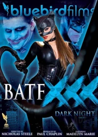 Постер фильма: Бэтмен: Темная Ночь — ХХХ пародия