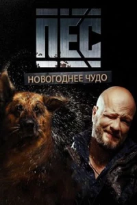 Постер фильма: Пёс. Новогоднее чудо