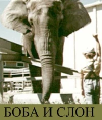 Постер фильма: Боба и слон