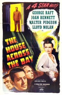 Постер фильма: Дом на берегу залива