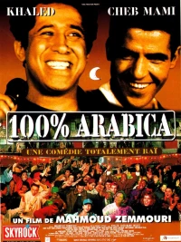 Постер фильма: 100% араб