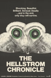 Постер фильма: Хроники Хельстрома