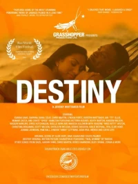 Постер фильма: Destiny