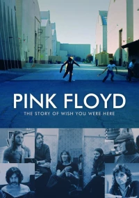 Постер фильма: Pink Floyd: История альбома «Wish You Were Here»