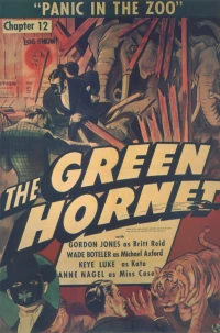 Постер фильма: Зеленый Шершень
