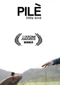 Постер фильма: Птичка