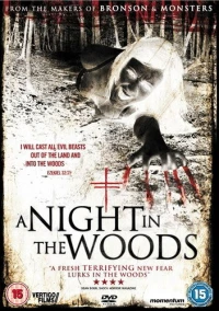 Постер фильма: Ночь в лесу