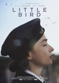 Постер фильма: Little Bird