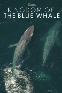 Постер фильма: Kingdom of the Blue Whale