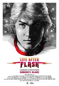 Постер фильма: Жизнь после Флэша