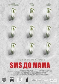Постер фильма: Message to Mom