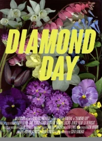 Постер фильма: Diamond Day
