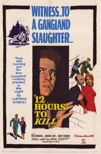 Постер фильма: Убить за 12 часов