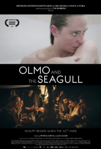 Постер фильма: Олмо и чайка