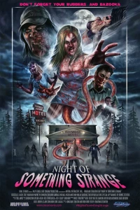 Постер фильма: Странная ночь
