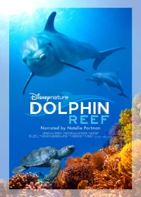 Постер фильма: Дельфиний риф