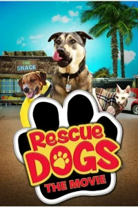Постер фильма: Собаки спешат на помощь