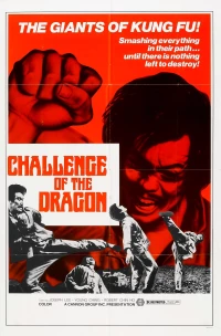 Постер фильма: Вызов дракона