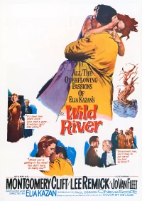 Постер фильма: Дикая река