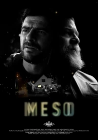 Постер фильма: Meso