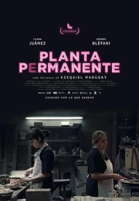 Постер фильма: Planta permanente