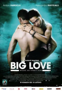 Постер фильма: Большая любовь
