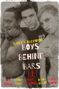 Постер фильма: Boys Behind Bars 3