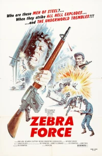 Постер фильма: Отряд «Зебра»