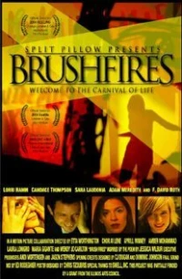 Постер фильма: Brushfires