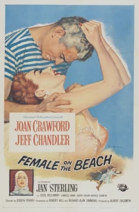 Постер фильма: Женщина на пляже