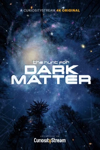 Постер фильма: Охота за темной материей