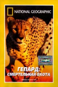 Постер фильма: Гепард: Смертельная охота