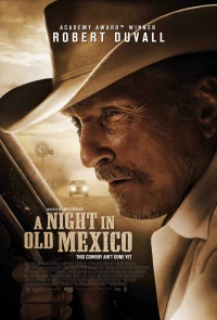 Постер фильма: Ночь в старой Мексике