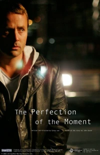 Постер фильма: The Perfection of the Moment