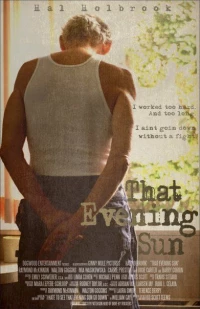 Постер фильма: Это вечернее солнце