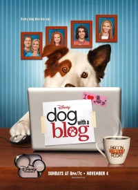 Постер фильма: Собака точка ком