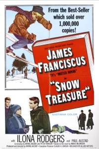 Постер фильма: Снежное сокровище