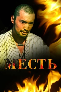 Постер фильма: Месть