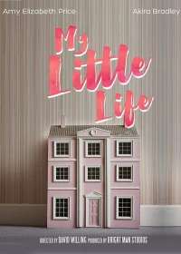 Постер фильма: My Little Life