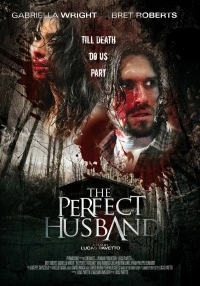 Постер фильма: Идеальный муж