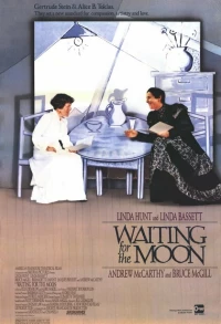 Постер фильма: Ожидая Луну