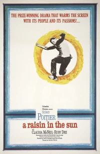 Постер фильма: Изюминка на солнце