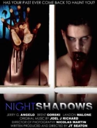 Постер фильма: Тени ночи