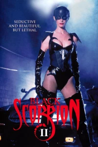 Постер фильма: Черный скорпион 2: В эпицентре взрыва