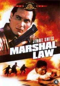 Постер фильма: Закон шерифа