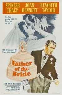 Постер фильма: Отец невесты