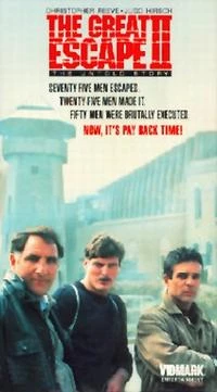 Постер фильма: Великий побег 2: Нерассказанная история