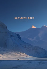 Постер фильма: Na vlastní nohy